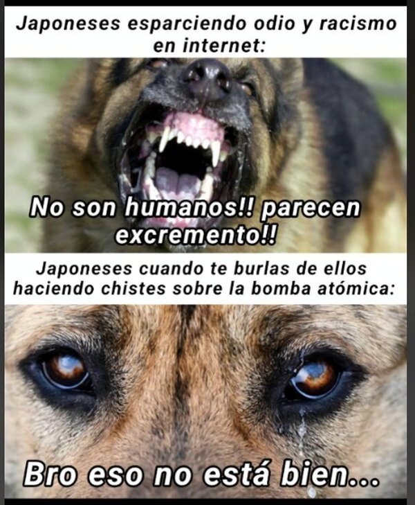 Meme_otros - Estos japoneses...