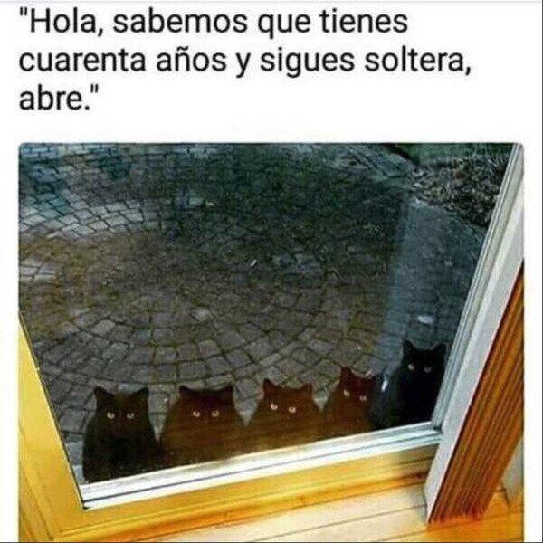 Meme_otros - Llegó tu momento