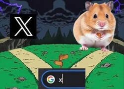 Enlace a Cuando escribes una X en el buscador