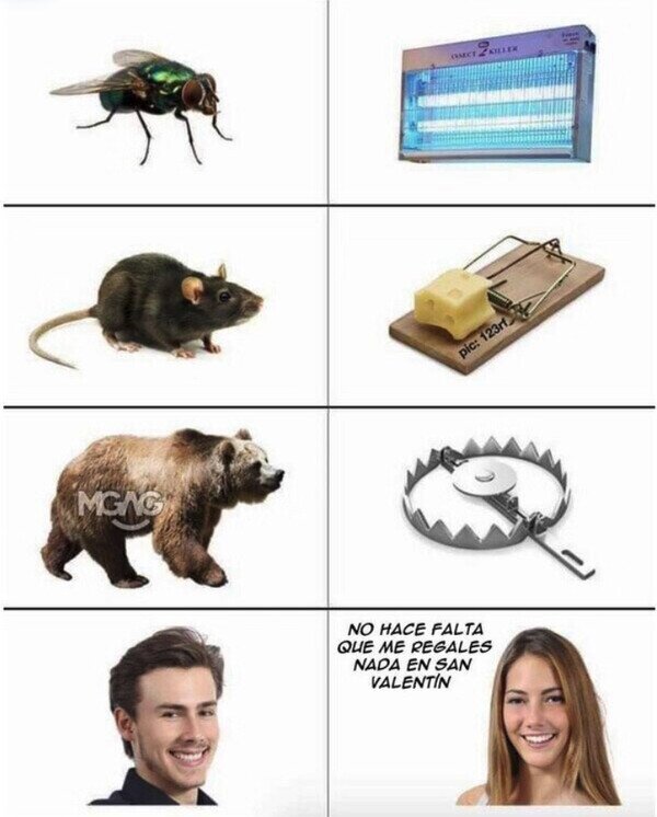 Meme_otros - Animales y trampas en las que suelen caer