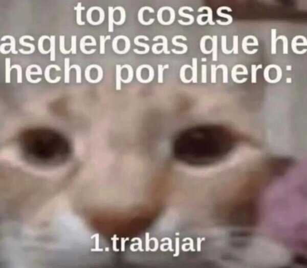 Meme_otros - Un verdadero asco