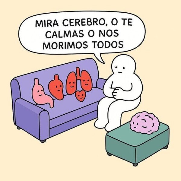 Meme_otros - El cerebro es la clave de todo