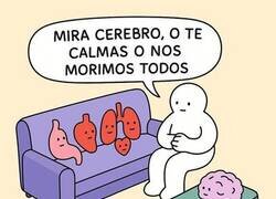 Enlace a El cerebro es la clave de todo