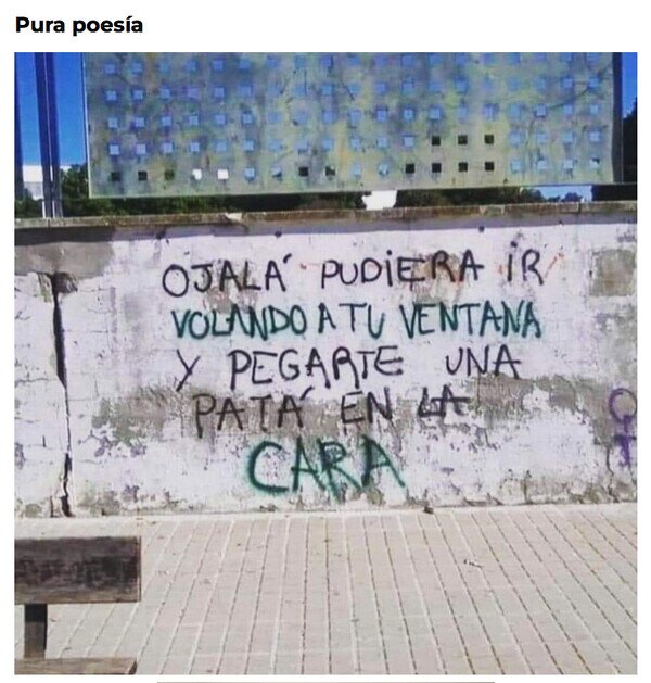 graffiti,poes&iacute;a,ventana,muro,wtf