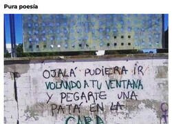 Enlace a Prosa de barrio