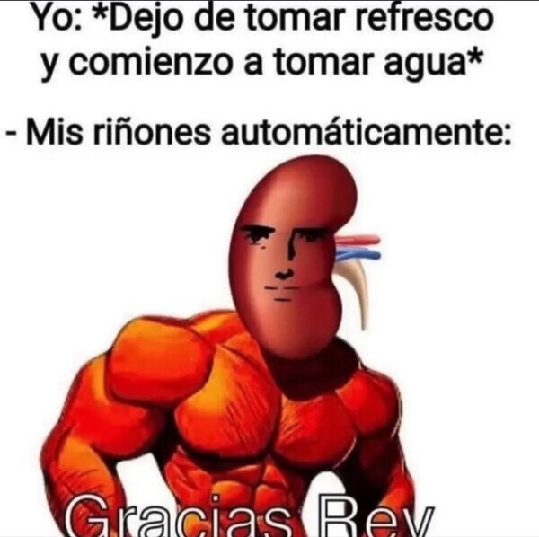 Meme_otros - Riñones agradecidos