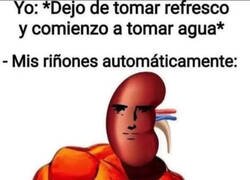 Enlace a Riñones agradecidos