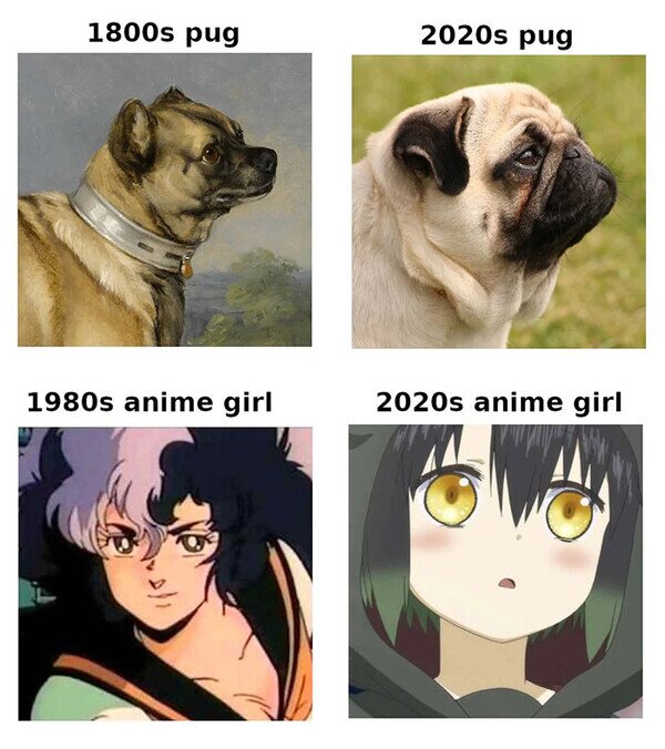 Meme_otros - Evolución similar