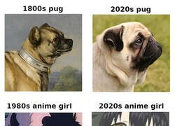 Enlace a Evolución similar