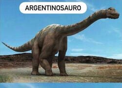 Enlace a No conocía esta especie