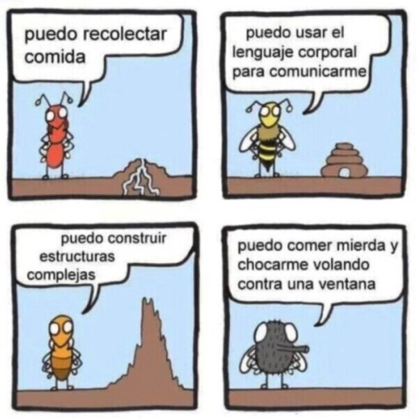 Meme_otros - La habilidad de los insectos