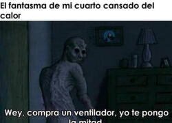 Enlace a Vamos a medias