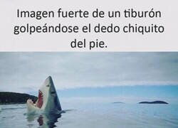 Enlace a No apto para sensibles