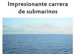 Enlace a Todo un espectáculo visual