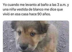 Enlace a No estoy para cuentos