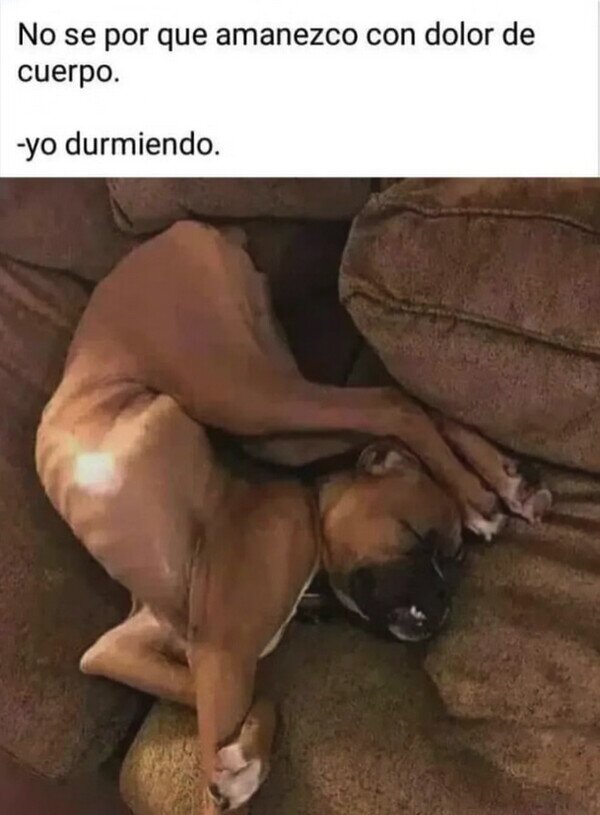 Meme_otros - ¿Por qué me dolerá la espalda?