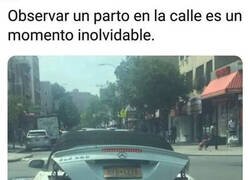 Enlace a El milagro de la vida