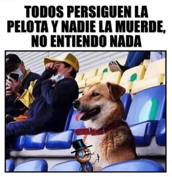 Meme_otros - Por eso a los perros no les gusta el fútbol