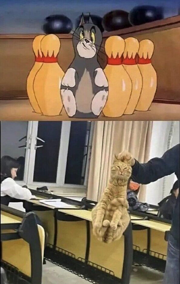 Meme_otros - ¿Tom? ¿eres tú?