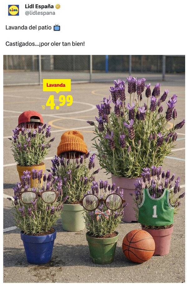 Meme_otros - El CM de Lidl sigue sembrado
