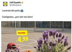 Enlace a El CM de Lidl sigue sembrado