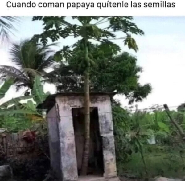 Otros - Es muy importante