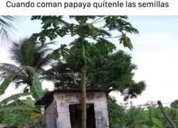 Enlace a Es muy importante