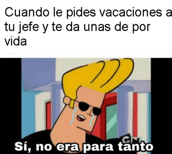 Meme_otros - No son las vacaciones que esperaba