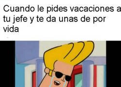 Enlace a No son las vacaciones que esperaba