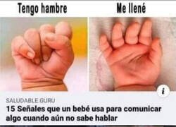 Enlace a Ahora todo tiene sentido