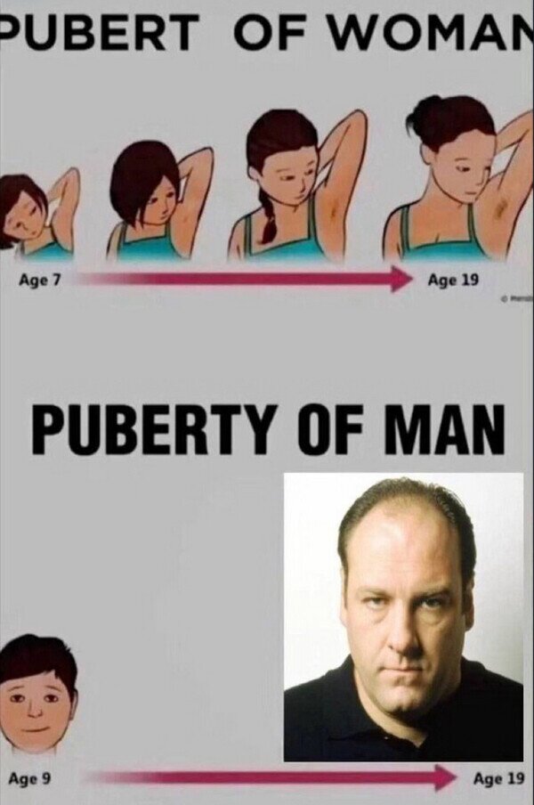 Meme_otros - Pubertad en mujeres y hombres