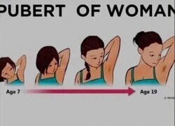 Enlace a Pubertad en mujeres y hombres