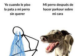 Enlace a Él no se siente culpable