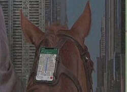 Enlace a Vivimos en tiempos confusos