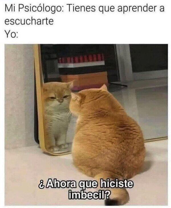 Meme_otros - Pa' las cosas que me digo...