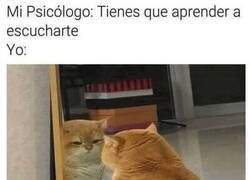 Enlace a Pa' las cosas que me digo...