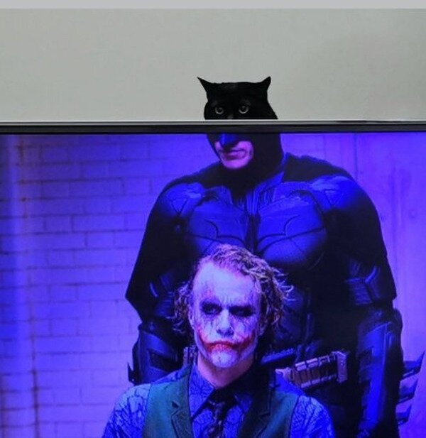 Meme_otros - Aquí, viendo CATman