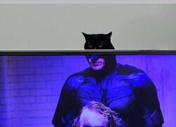 Enlace a Aquí, viendo CATman