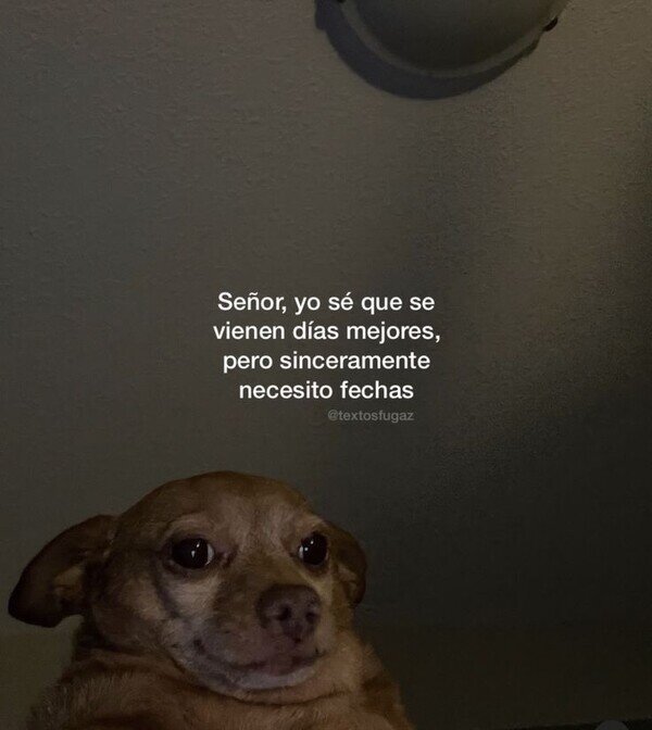 Meme_otros - ¿Cuándo, señor? ¿¡Cuándo!?