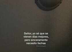 Enlace a ¿Cuándo, señor? ¿¡Cuándo!?