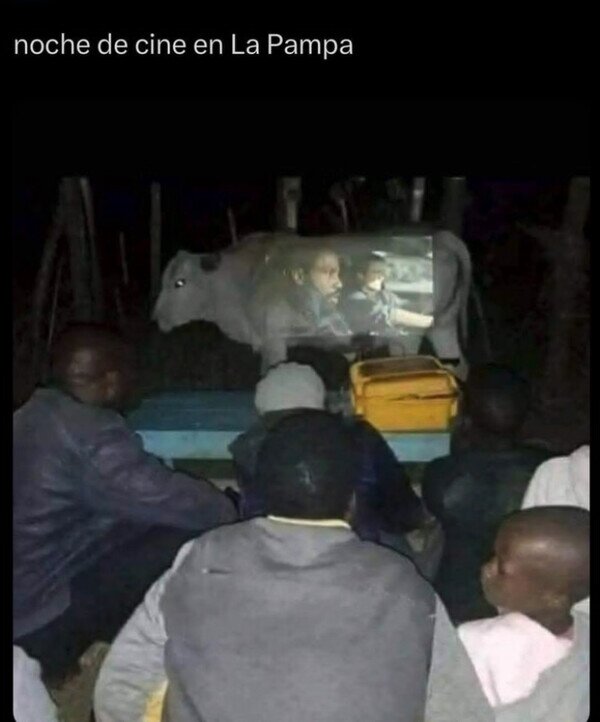 cine,pel&iacute;cula,proyector,vaca