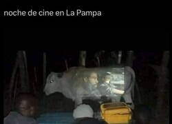 Enlace a Toca sesión bovina de proyector