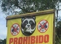 Enlace a Tiene todo el sentido del mundo