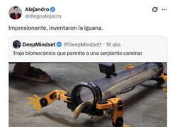 Enlace a Patas biomecánicas para serpiente