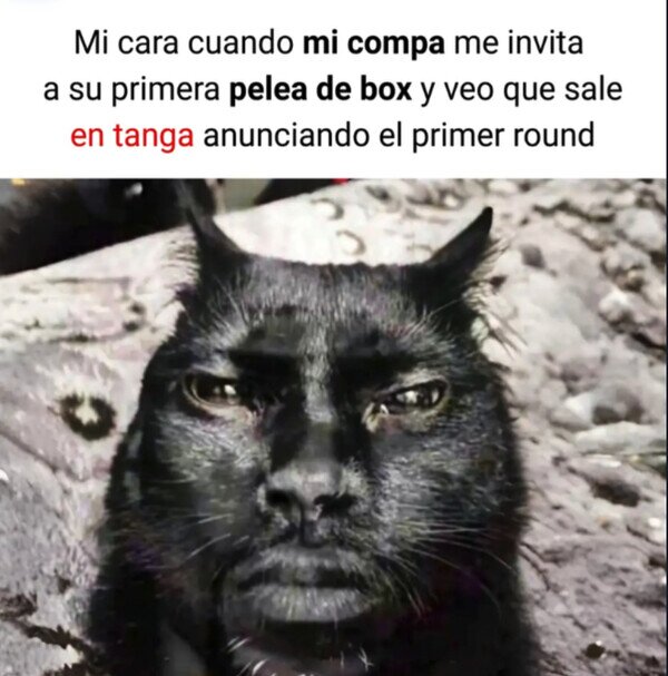 Meme_otros - Viendo a mi colega debutar en boxeo