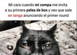 Enlace a Viendo a mi colega debutar en boxeo