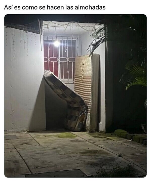 Meme_otros - El milagro de la vida