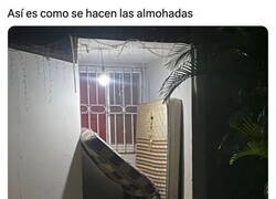 Enlace a El milagro de la vida