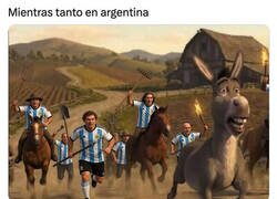 Enlace a En Argentina empiezan a consumir carne de burro