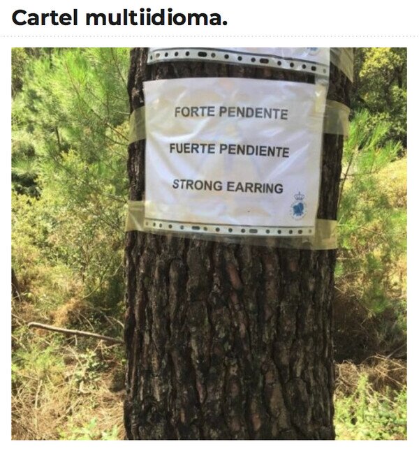 Meme_otros - Lost in translation